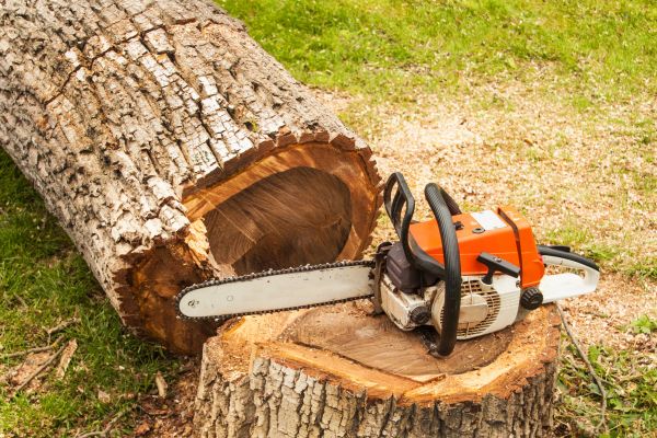 Tree Cutting Service in Grand Blanc