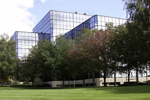 Commercial Tree Trimming in Grand Blanc